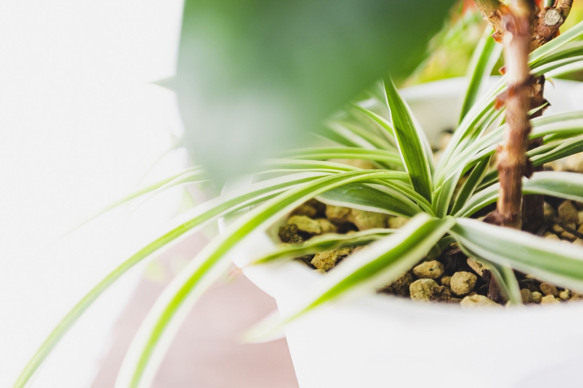 AdobeStock_301913254